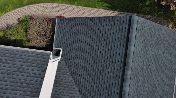 Best Metal Roofing Installation  in Verona Walk, FL